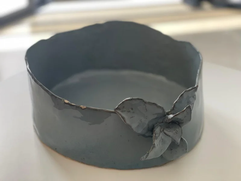 technique de la plaque quollnet